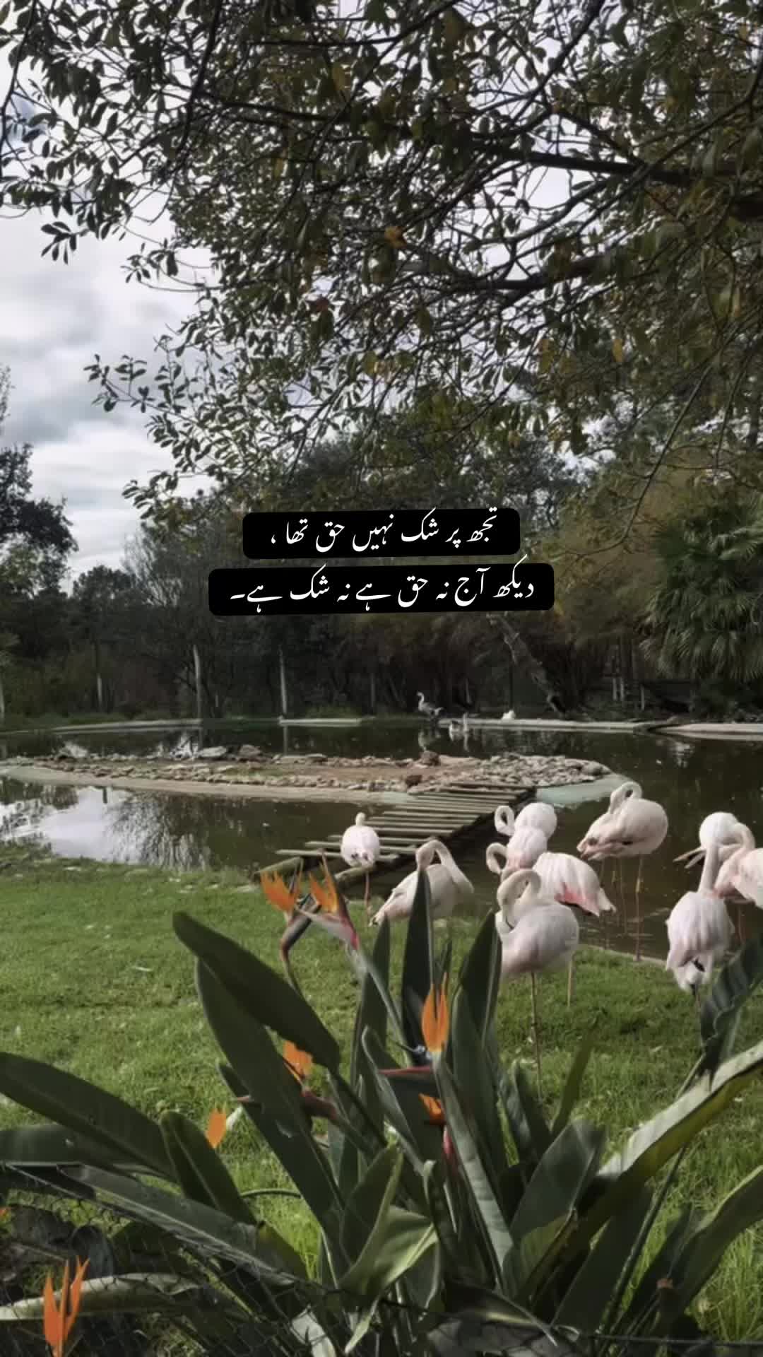 @🦋⁂༄𝗌𝒂ꪑӄի𝒂ꪀ༄⁂🦋
