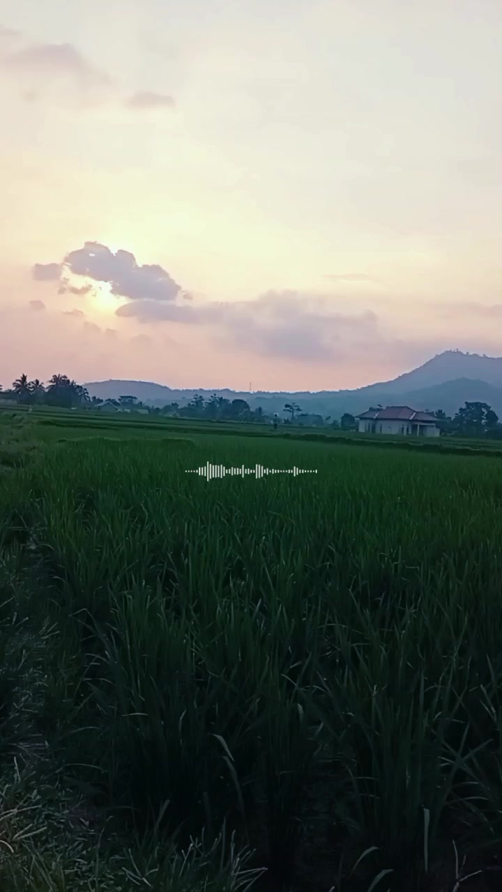 @hi