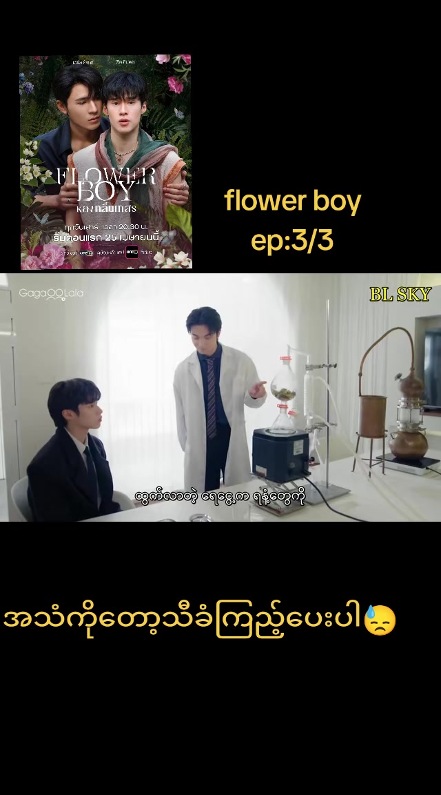 @pp(bl fan)