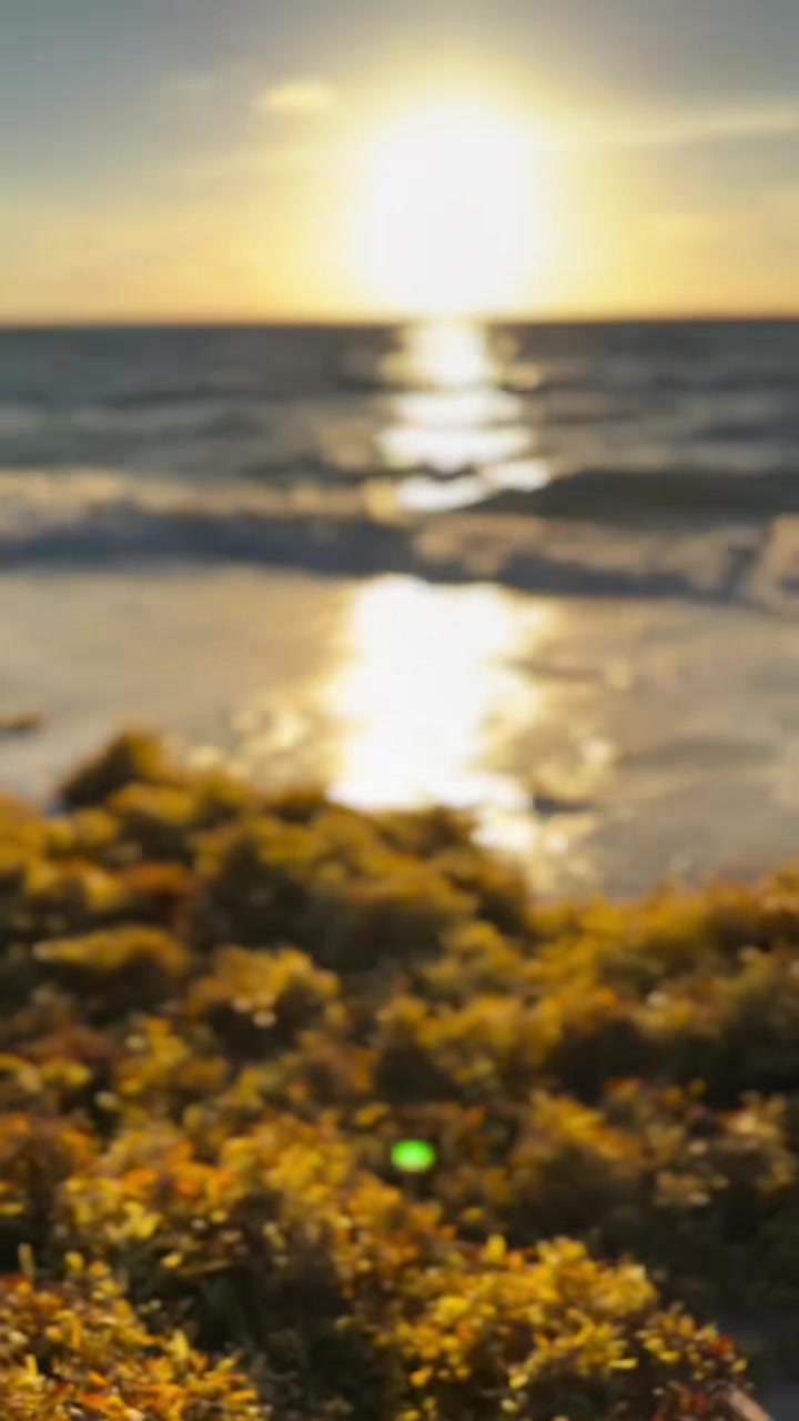 @rodolforamosvz
