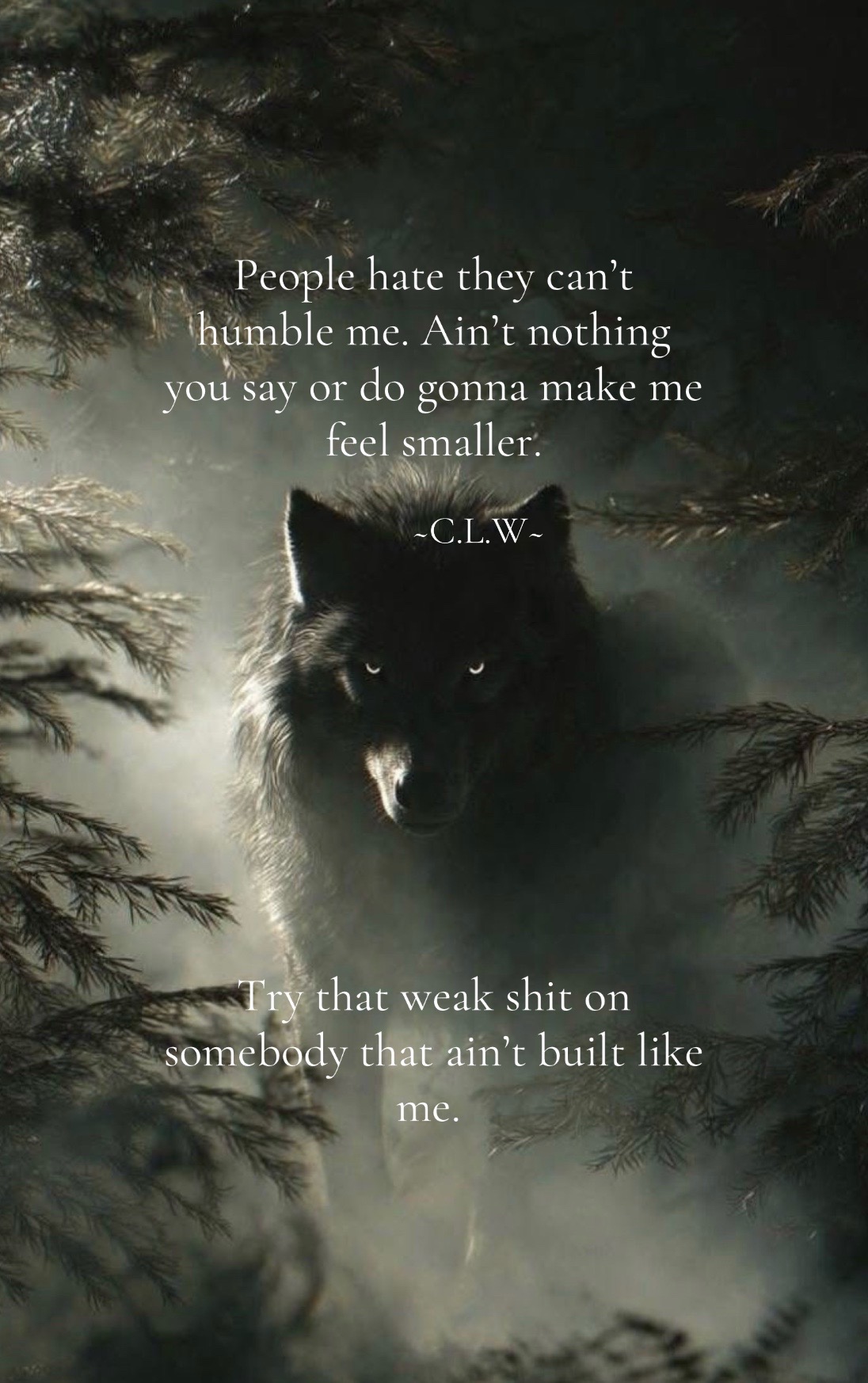 @🪬Conscious_LoneWolf🐺