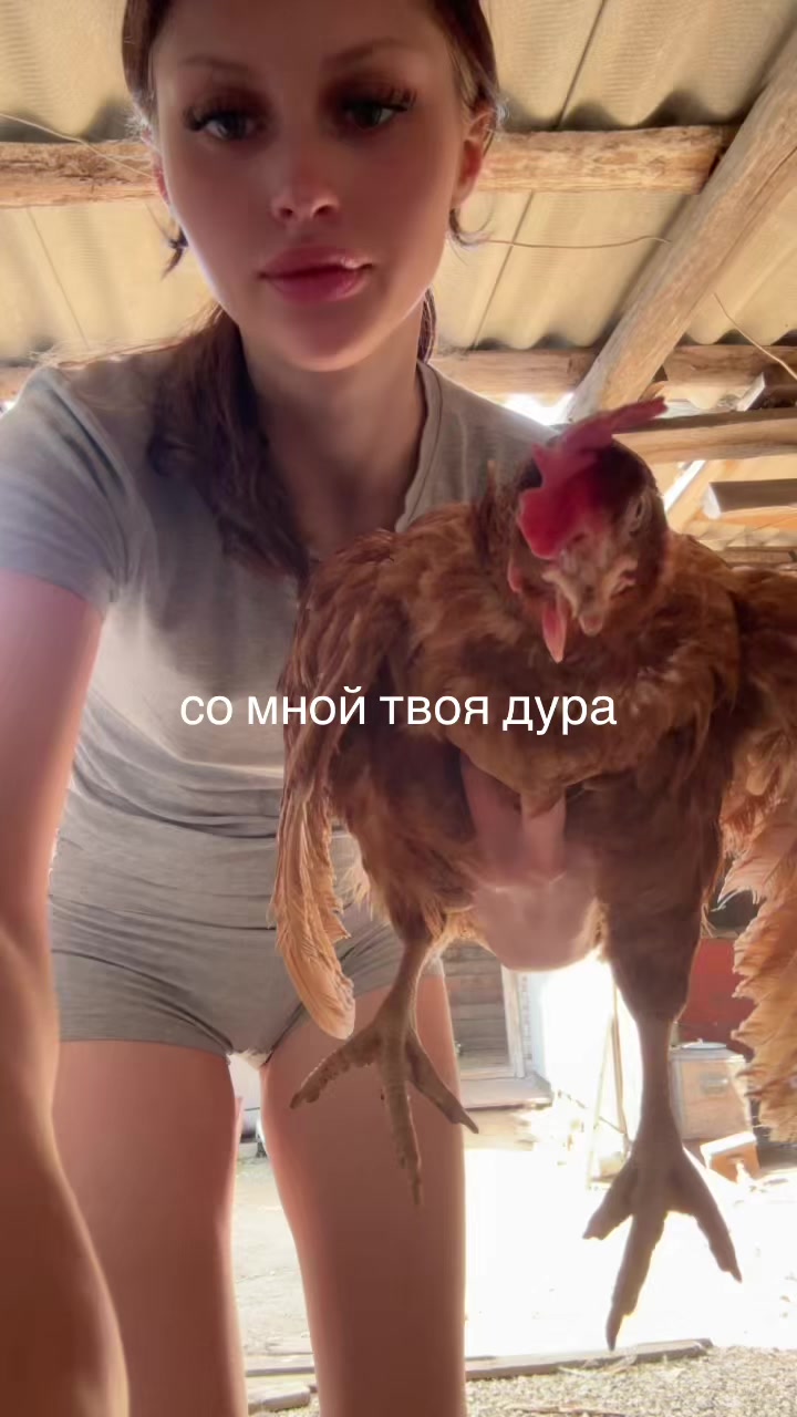 @fuckshit467