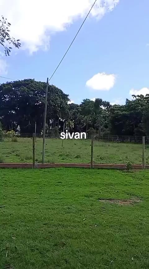 @sivan