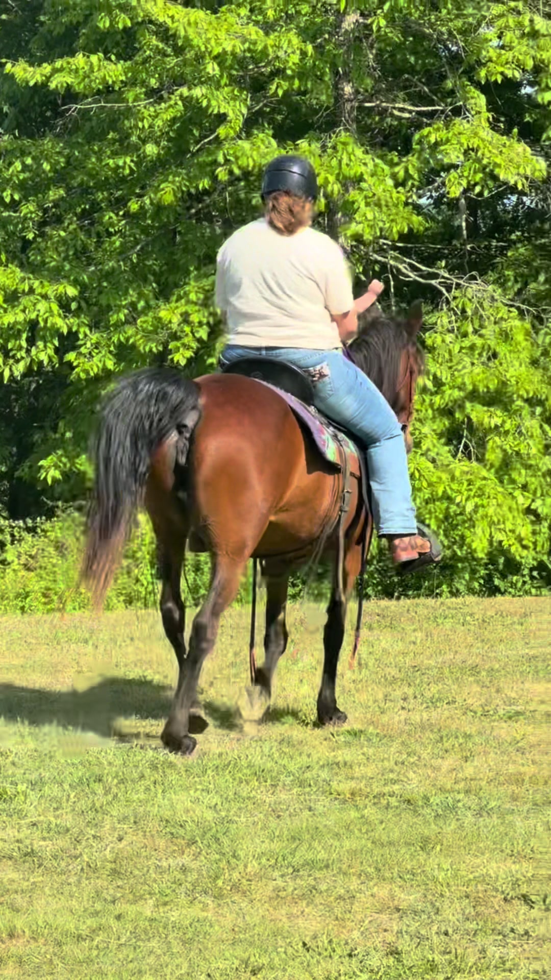 @EightyDollarStables