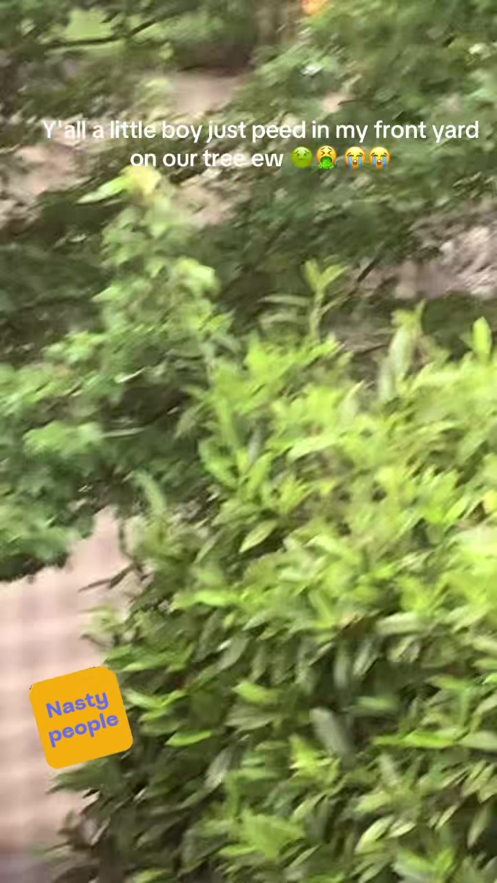 @3yekon🇵🇷