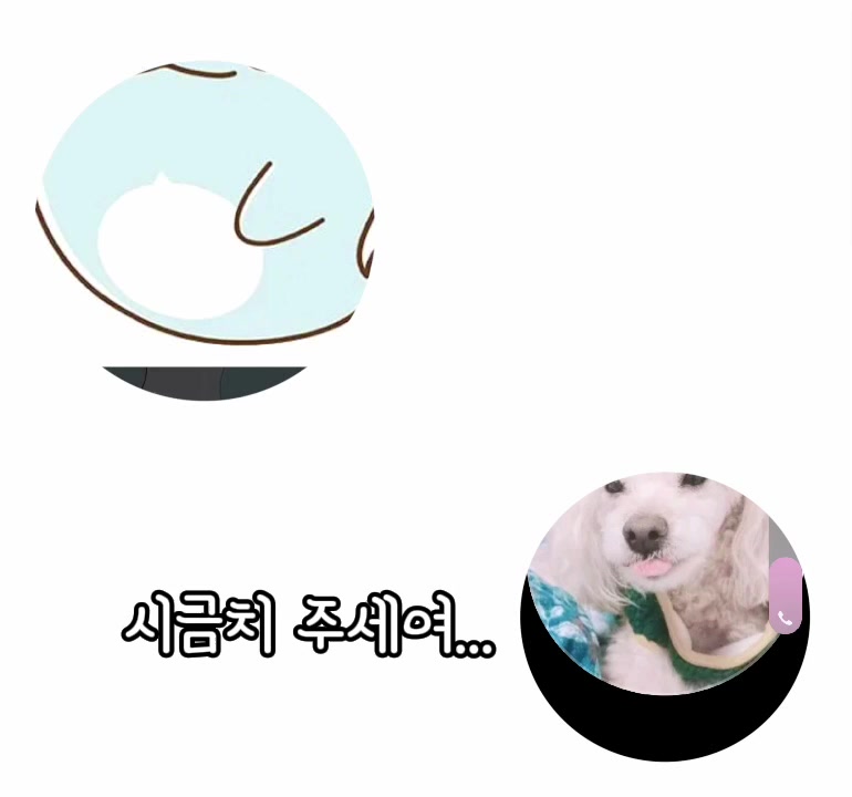 @🦋⃟✮⃝𝐑𝐒--𝐑𝐀𝐊𝐈𝐁🦋⃟✮⃝࿐