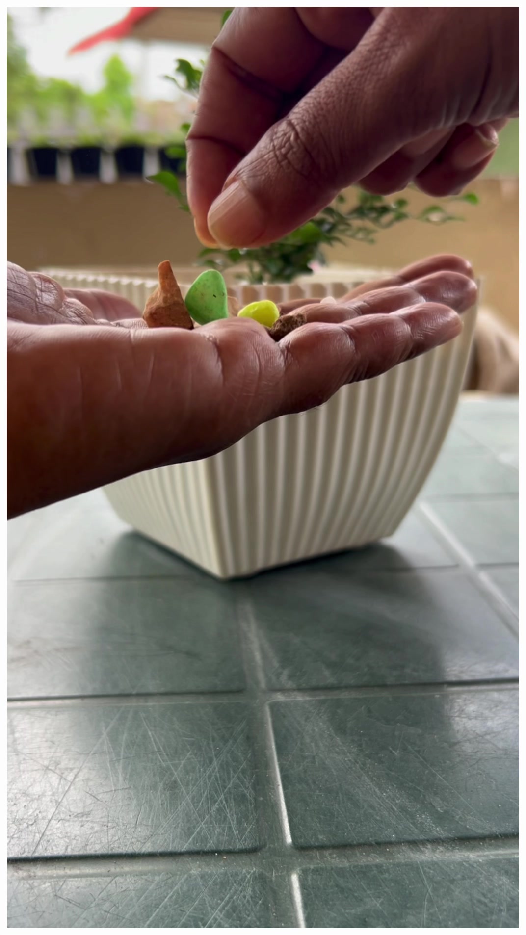 @Happy Plants