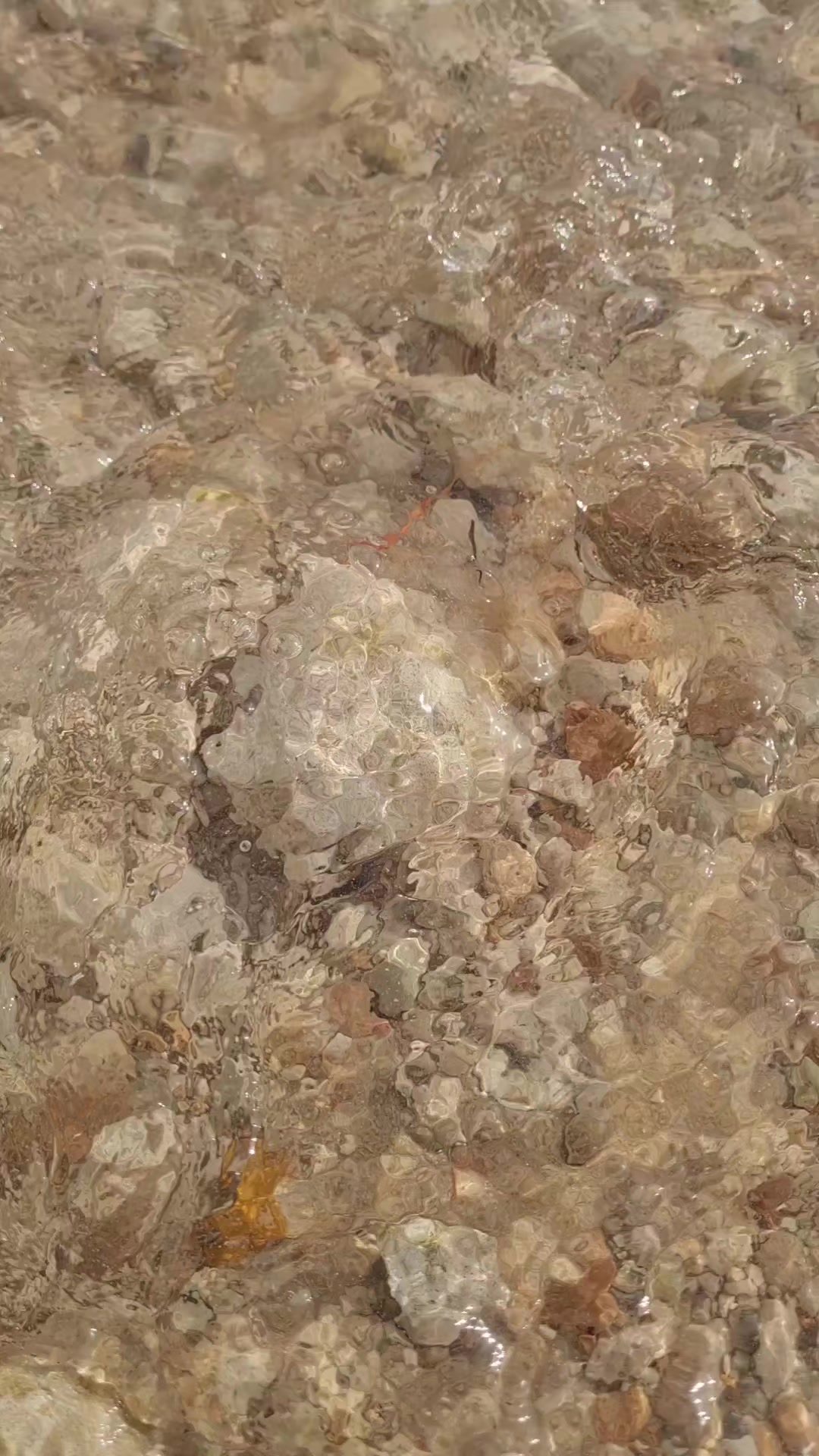 @userعبدالله العزام