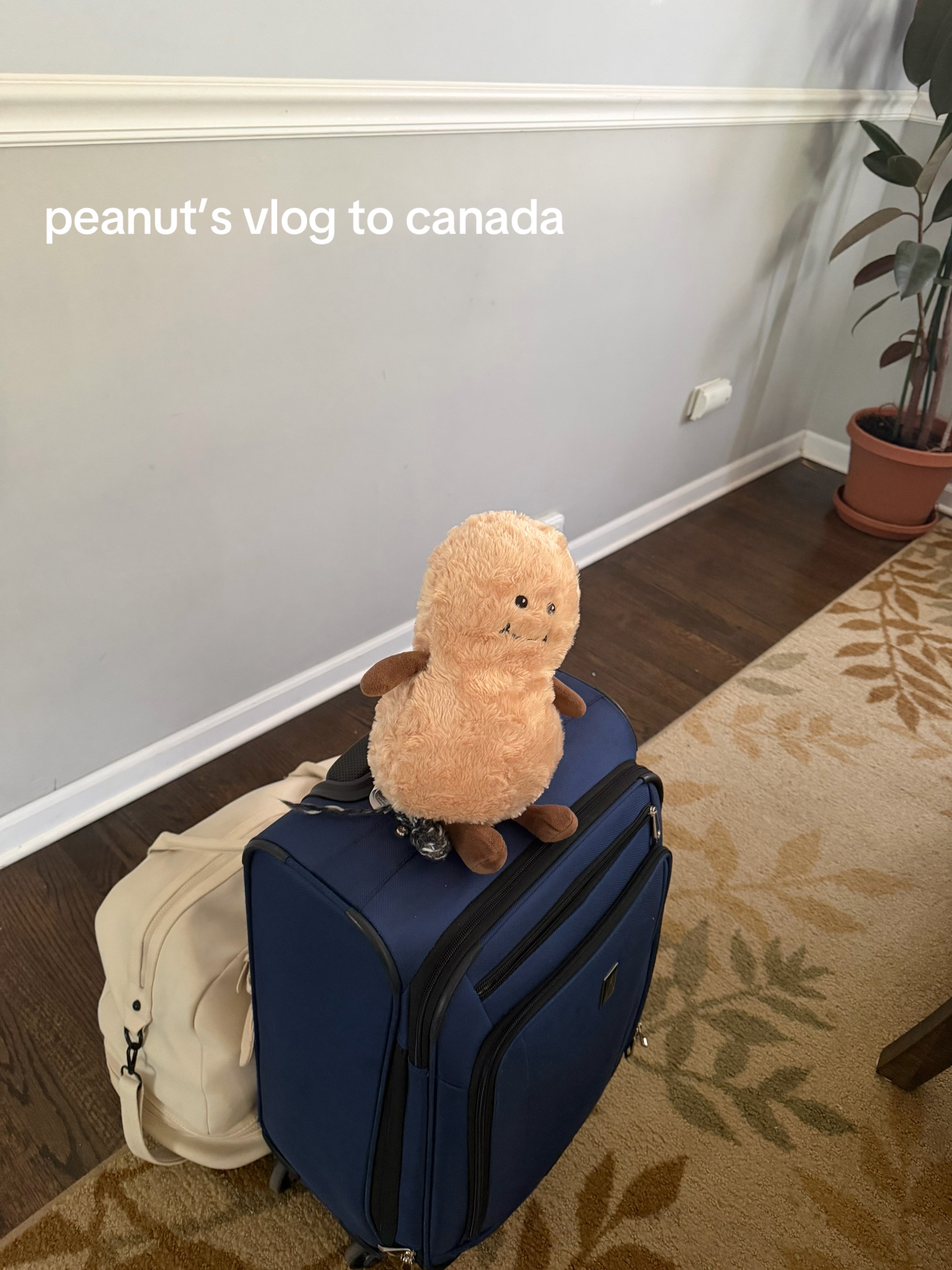 @mimaw vlogs