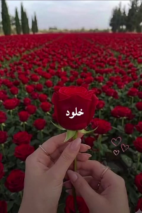@liowx_