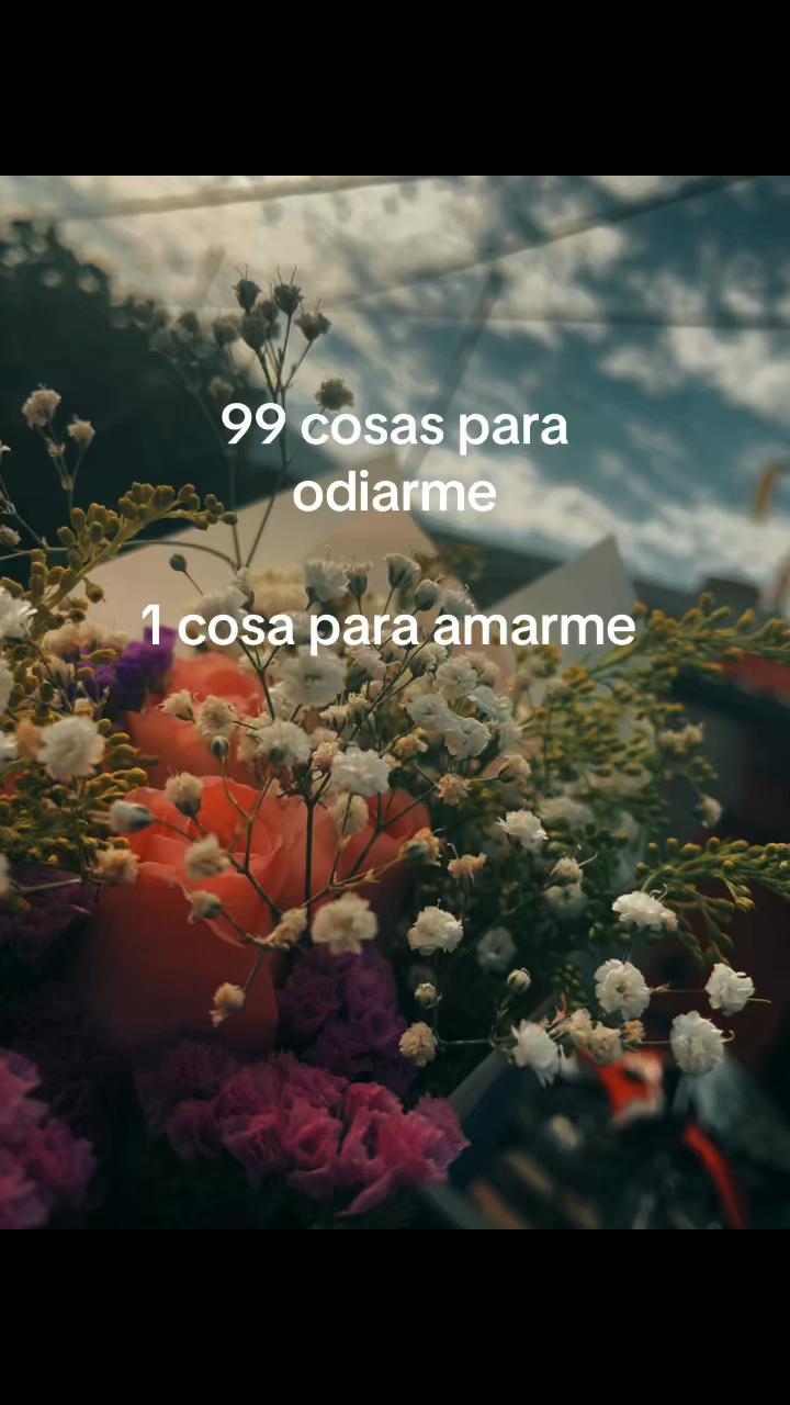 @𓇼 ⋆.˚ 𓆉𝓅𝒶𝓁𝒪𝑀𝒶 𓆡⋆.˚ 𓇼
