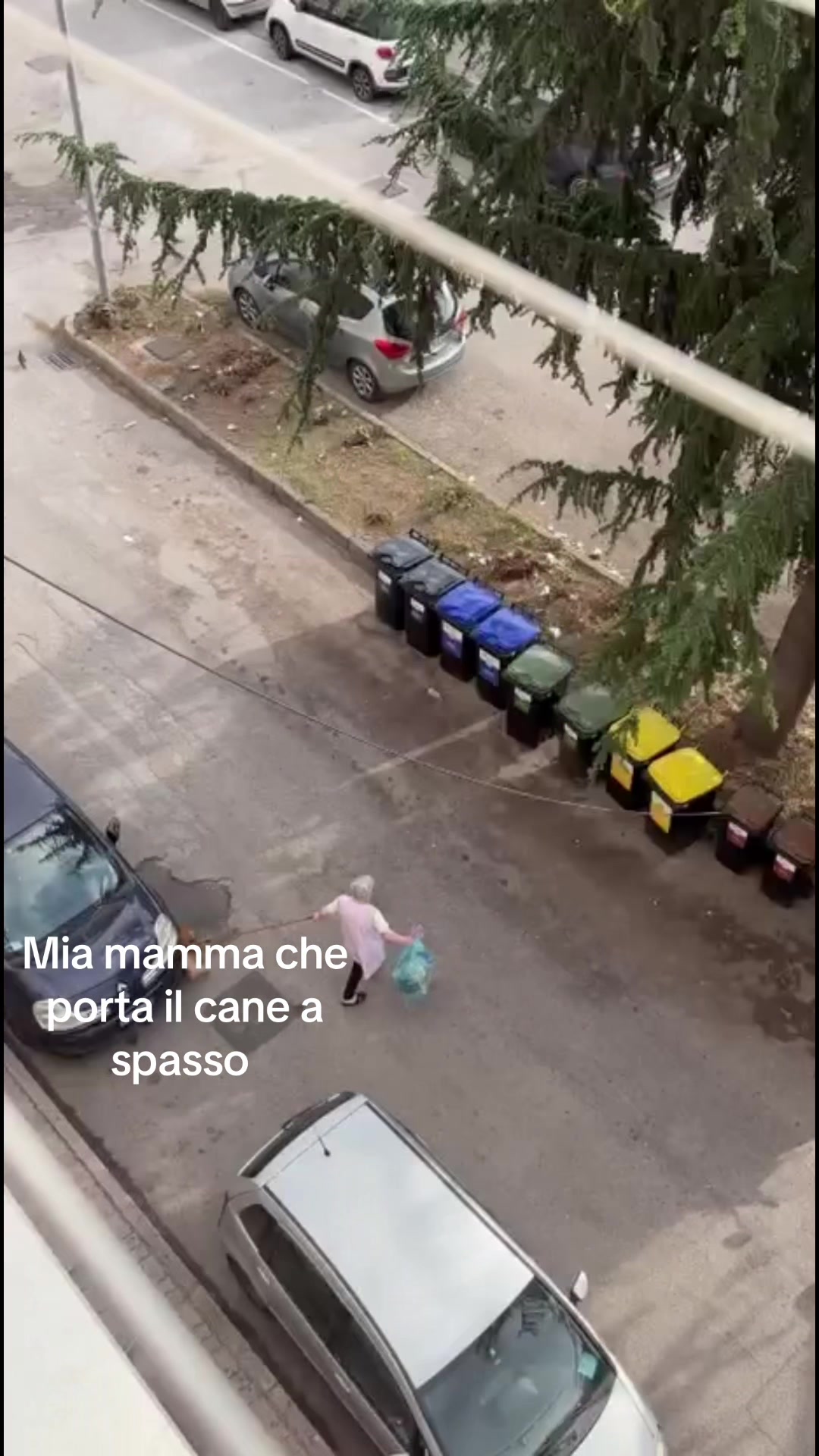 @Mastroianni Raffaele