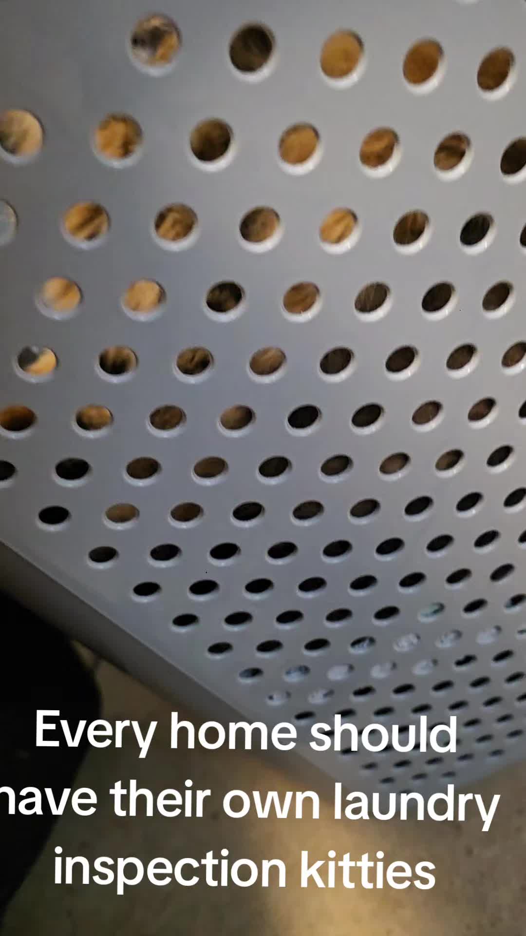 @Blablablajonboy