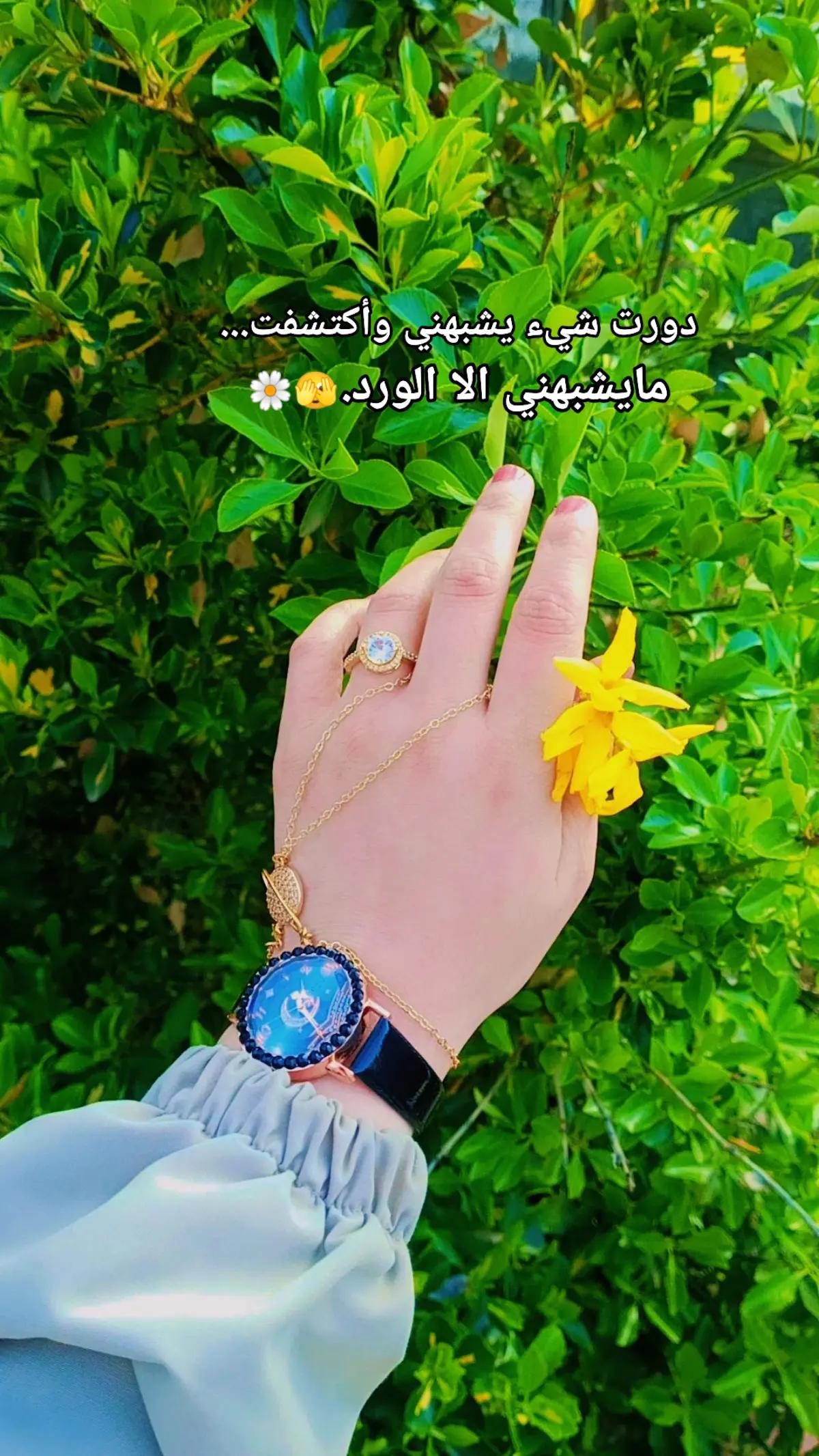 @🇹🇷🕊بنت الموصل 👑🇮🇶