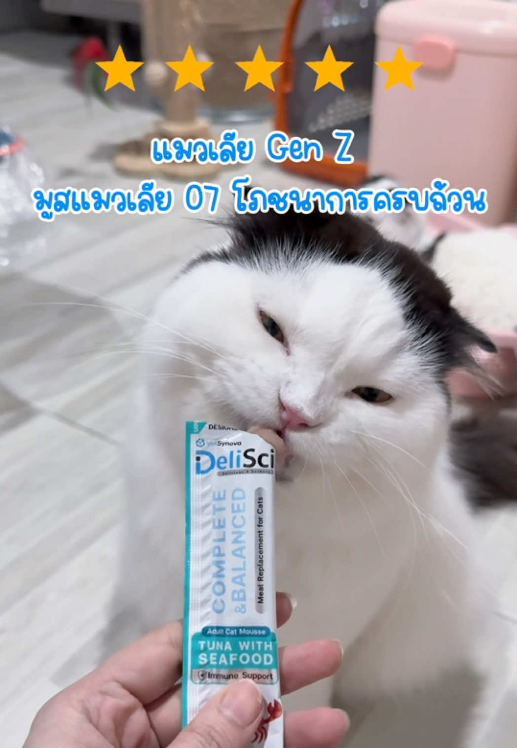 @mint-มิ้นท์