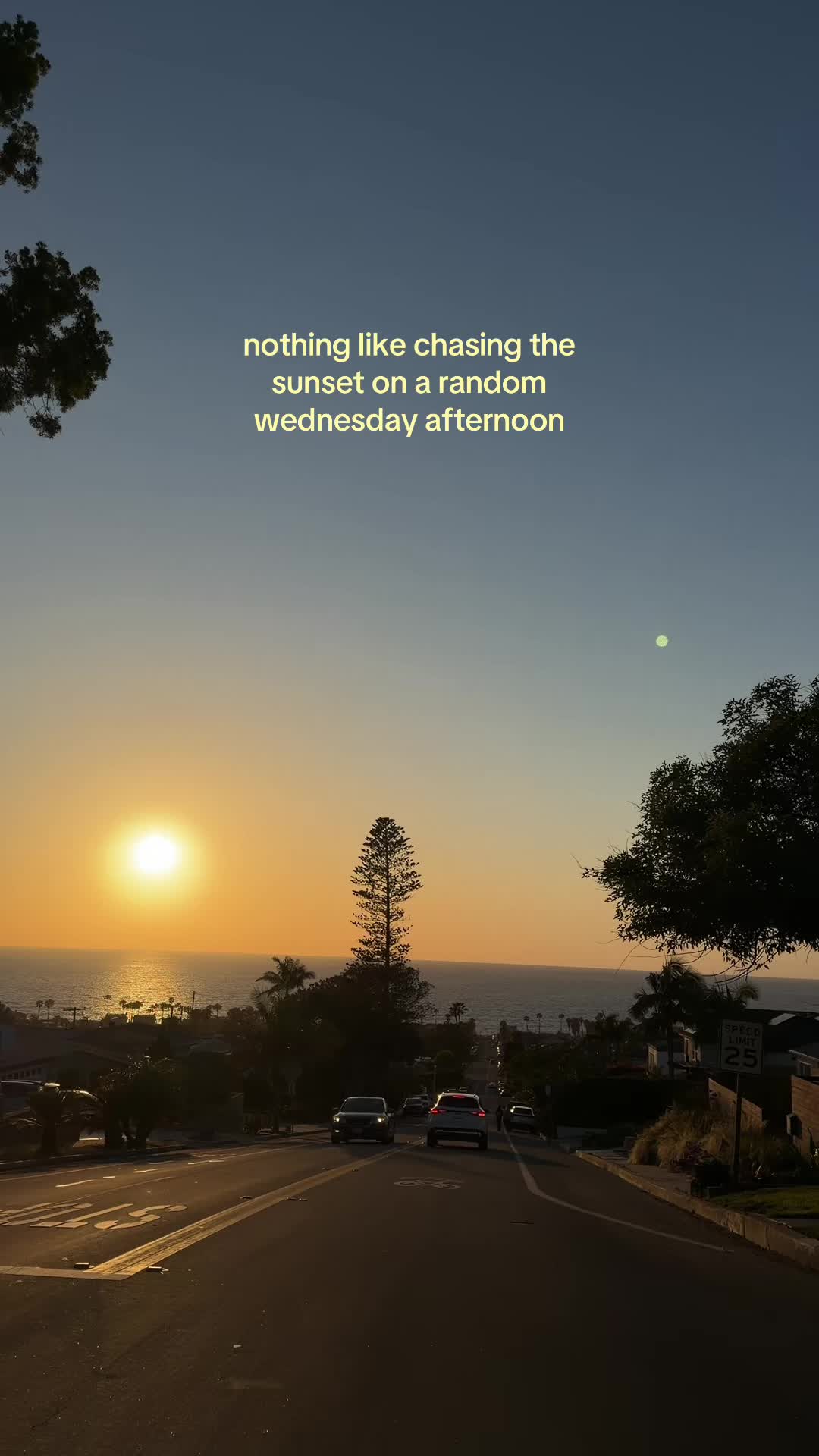 @Tori 🖤⚡️