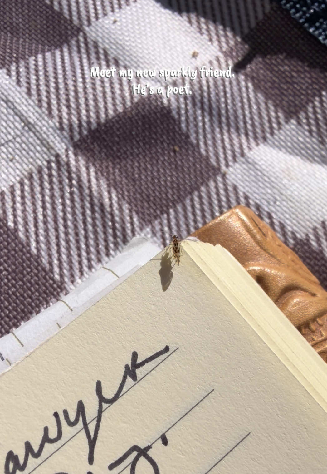 @Kay Mara