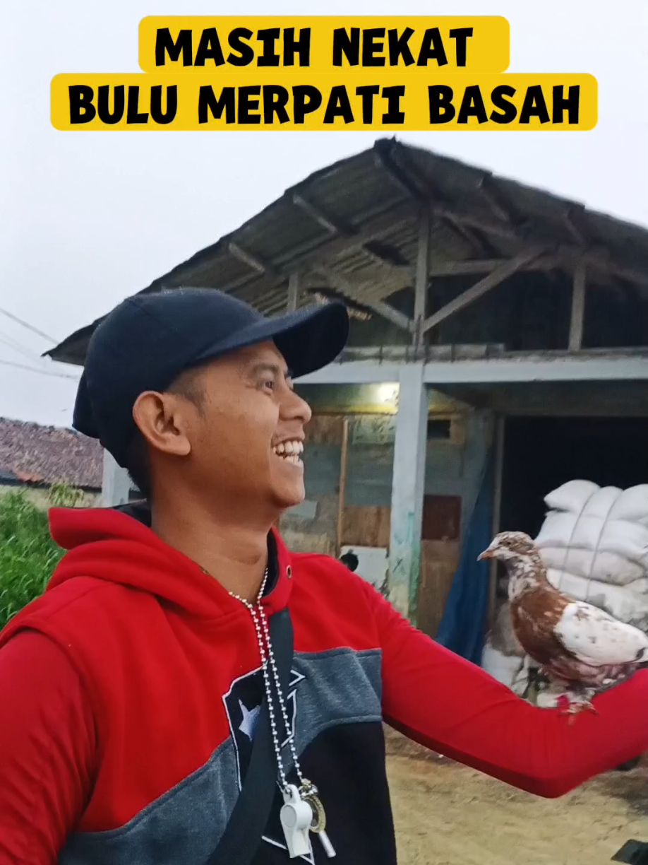 @BANG LEYON