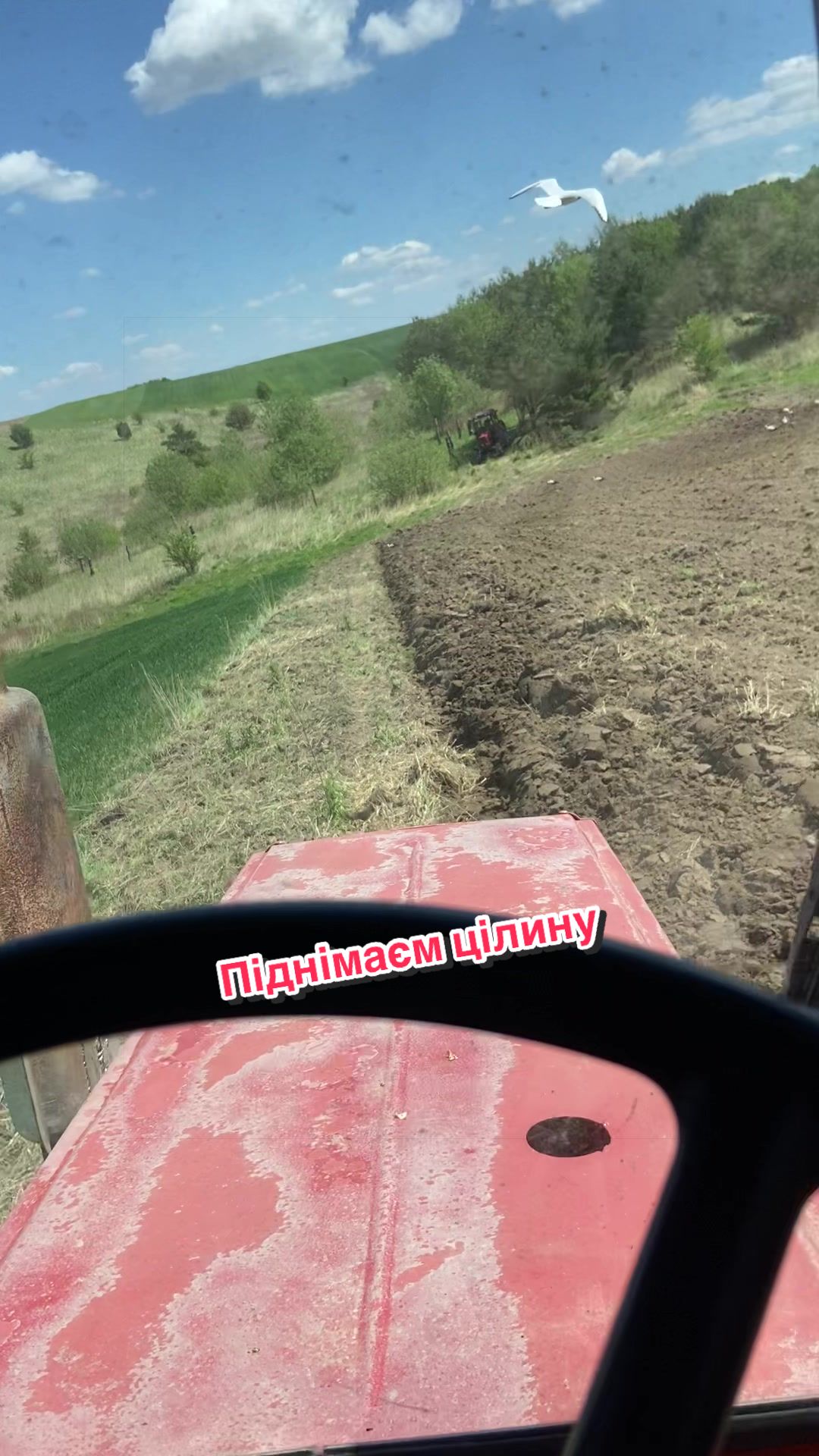 @🌾Богдан🌾