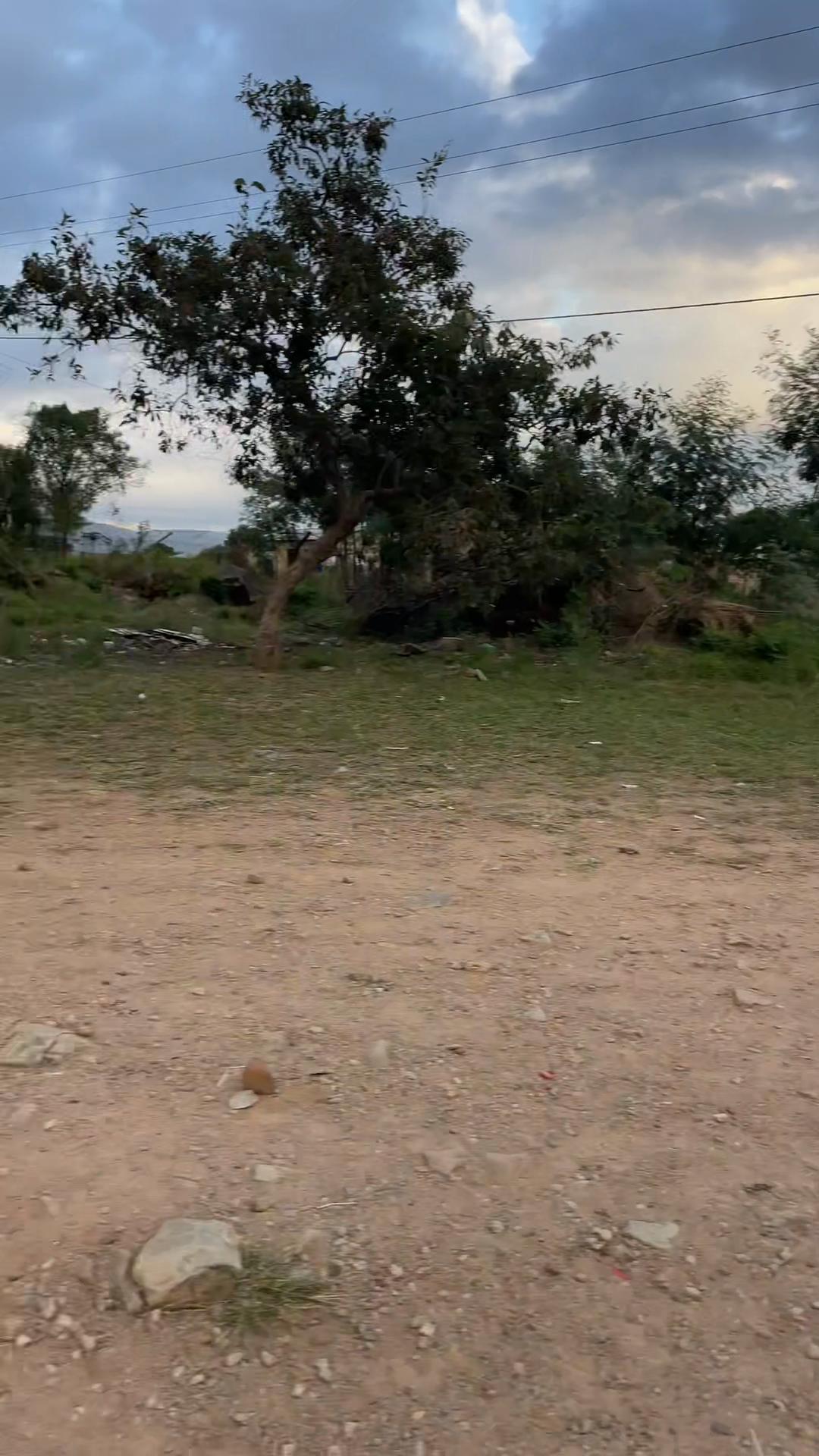@Pillay Mnisi