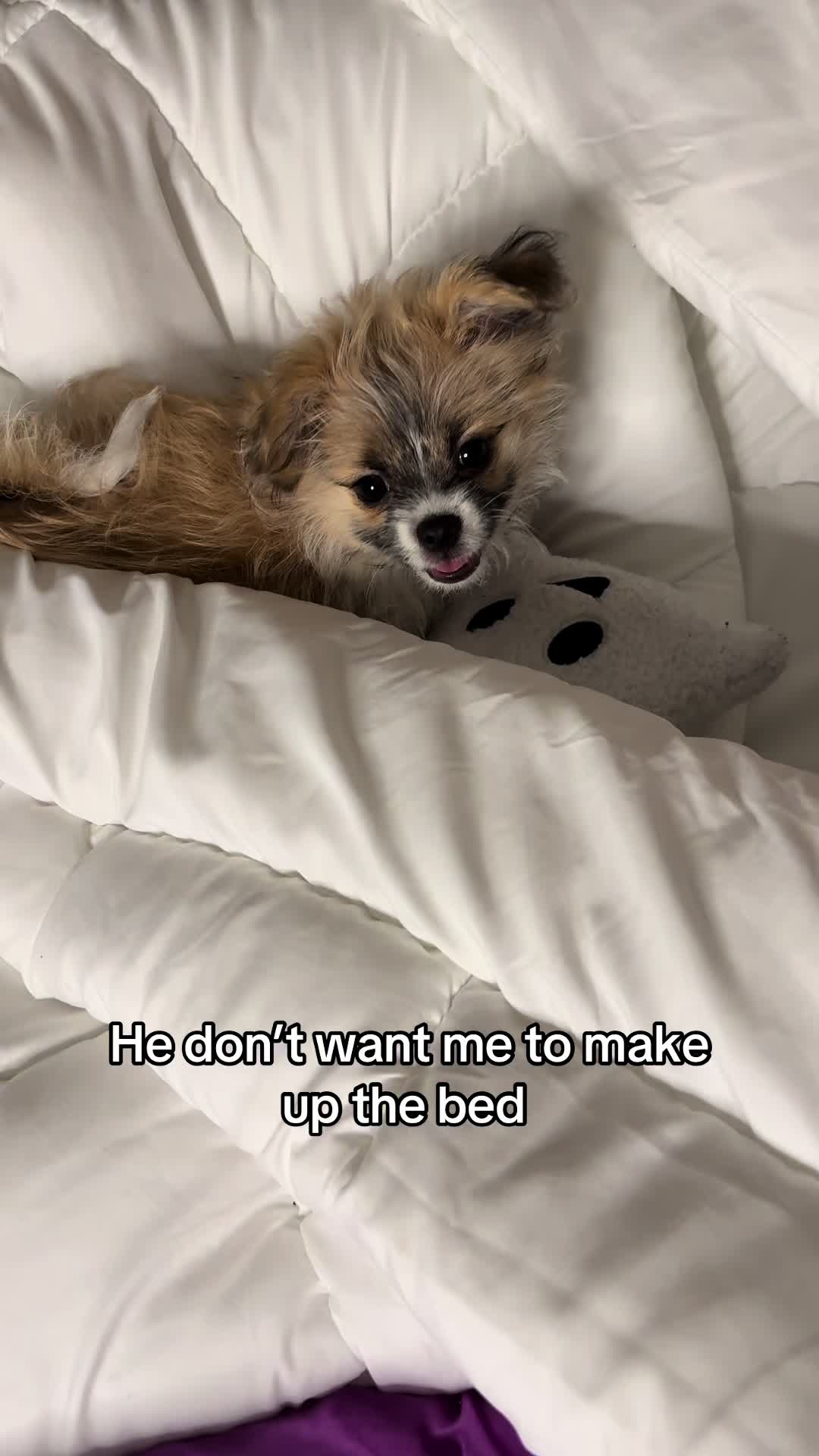 @Roethegoat🐐