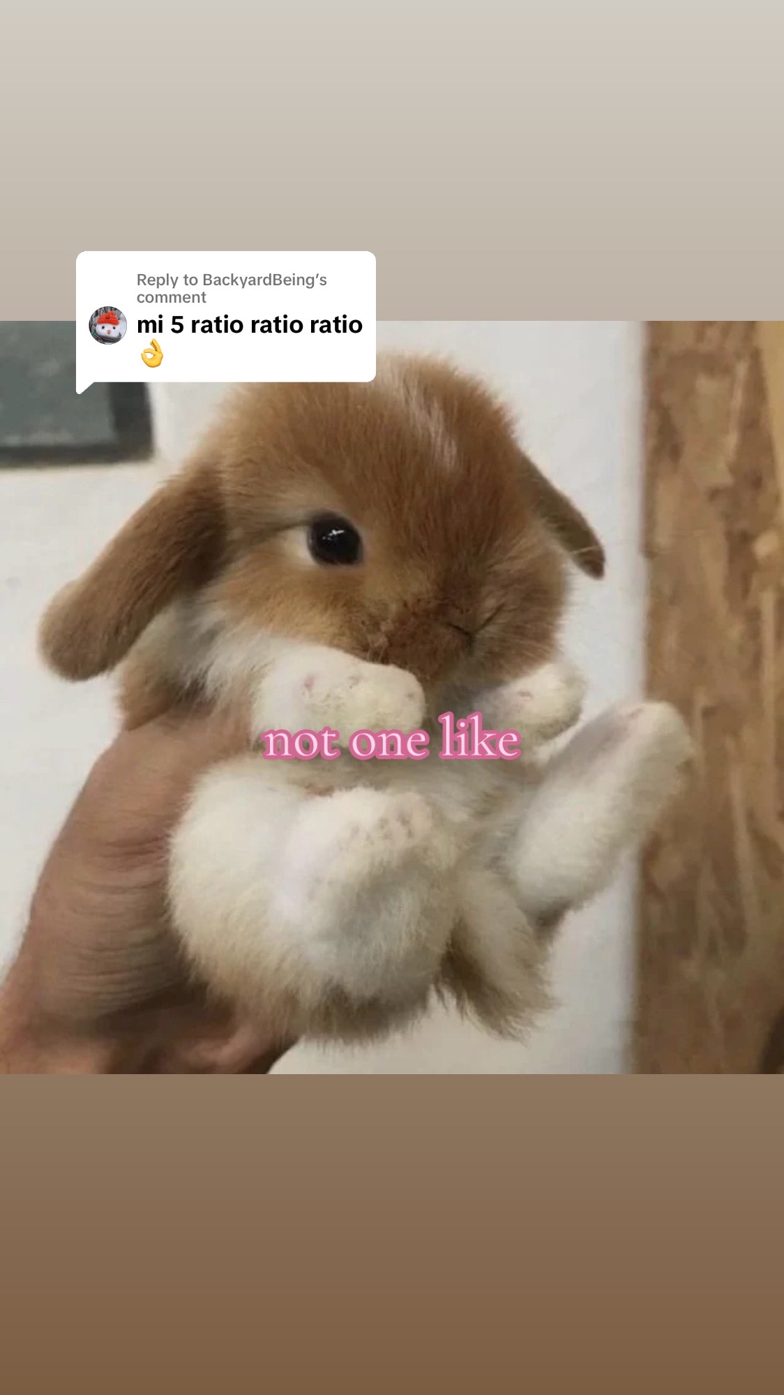 @samson