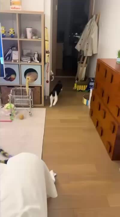 @Funny