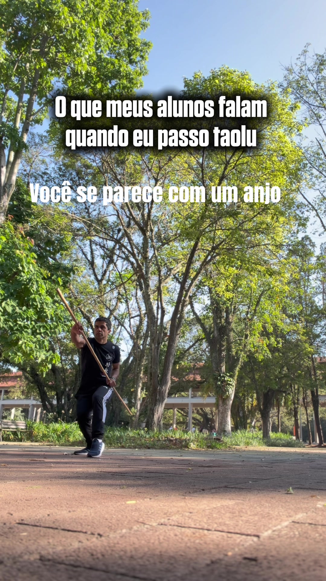 @Luiz Carlos - Wushuluiz