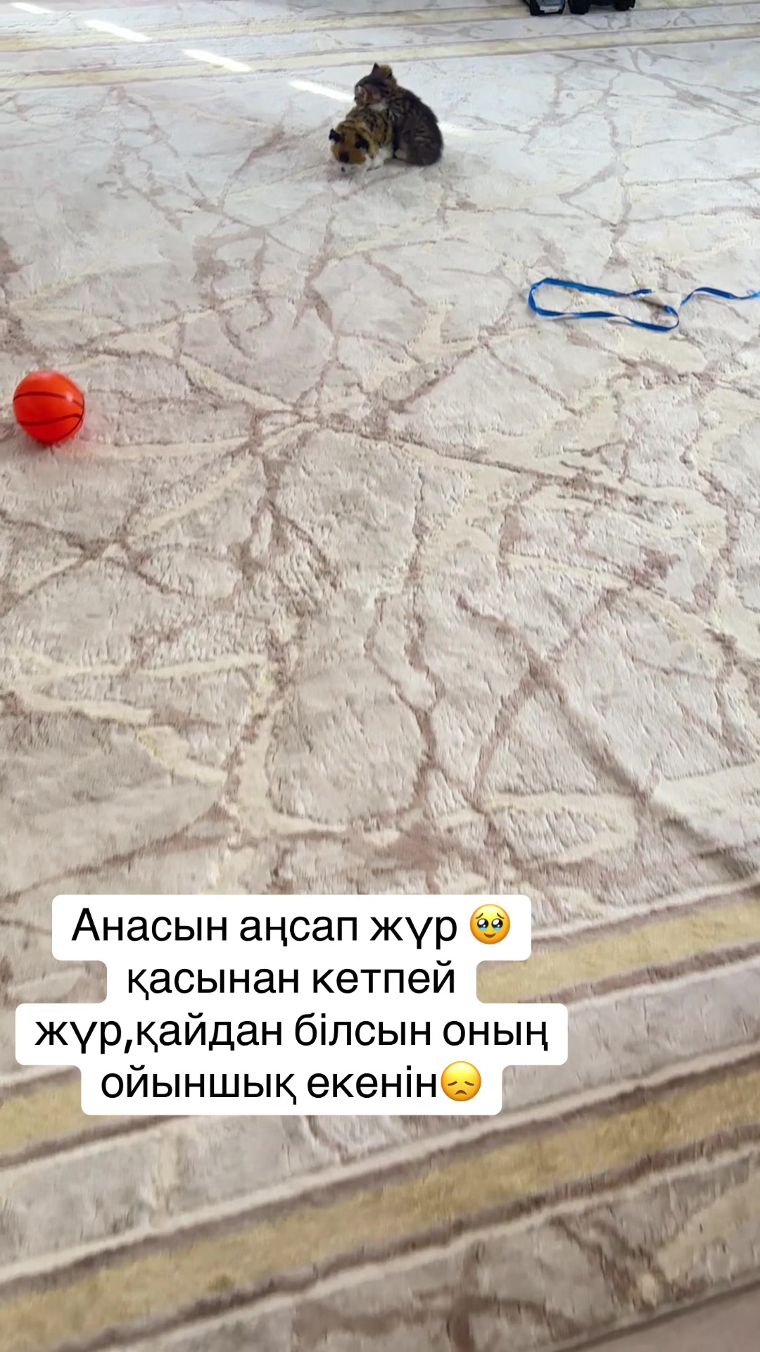 @Лаззат Мухиддинова
