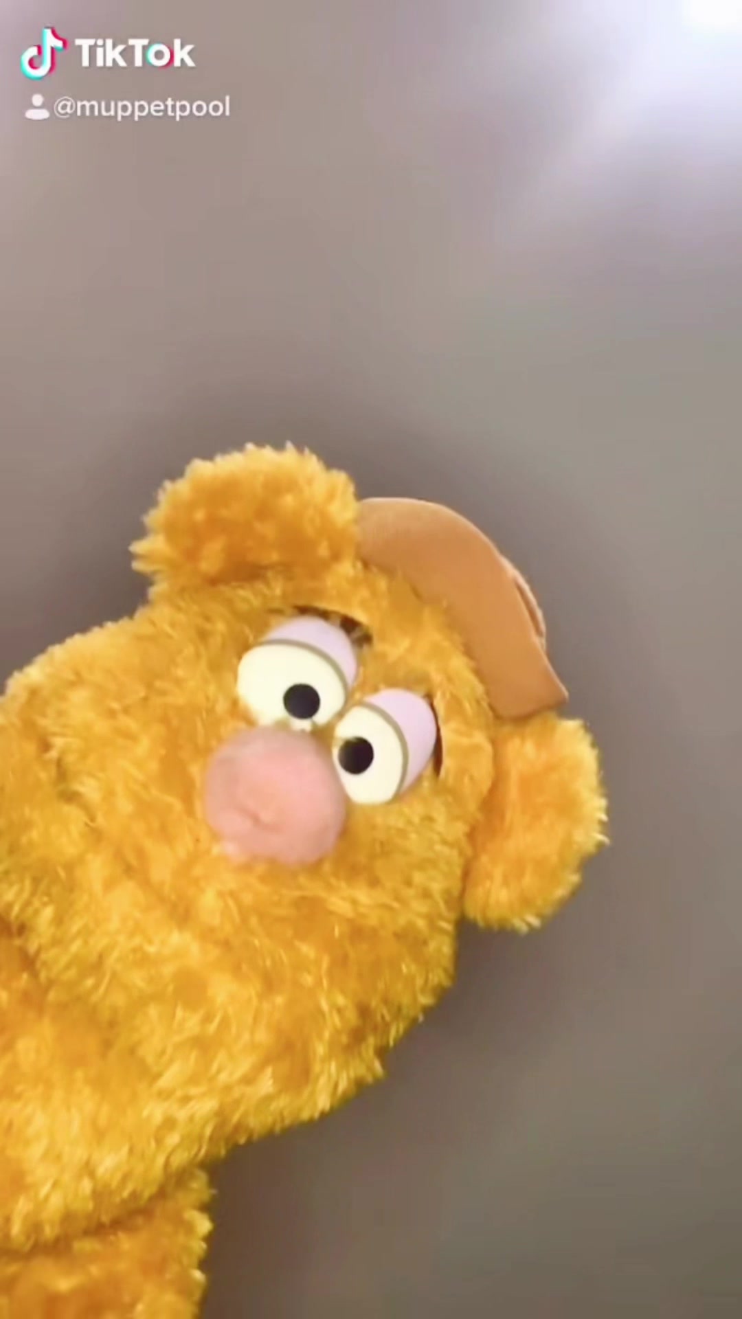 @MUPPETPOOL