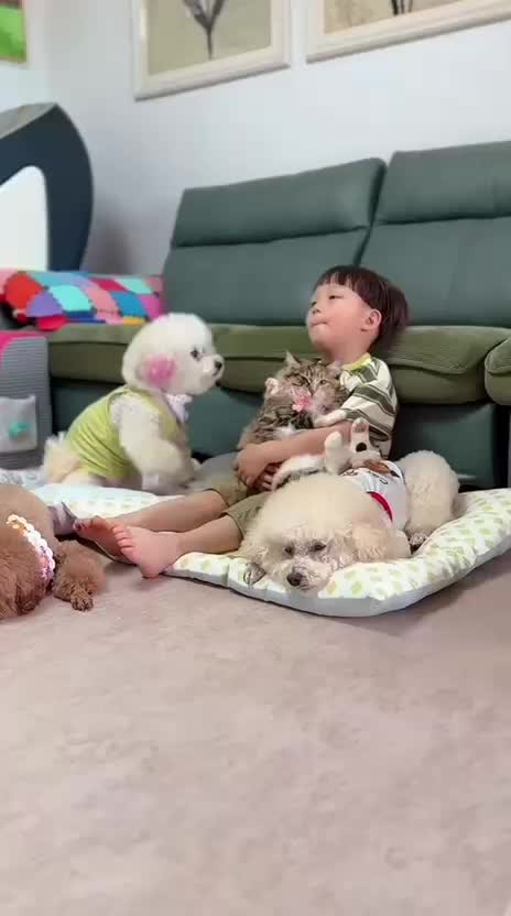 @Funny