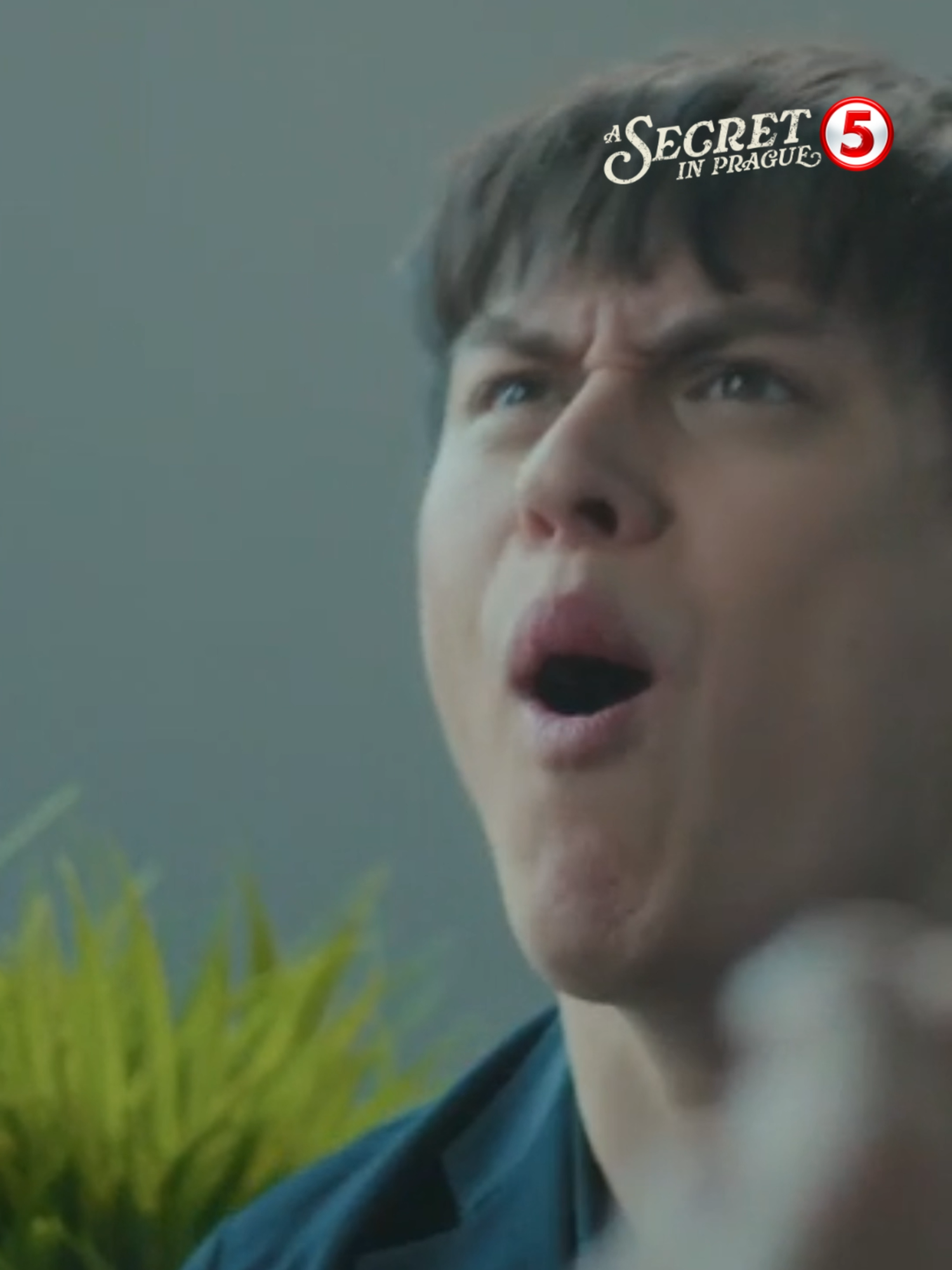 @TV5