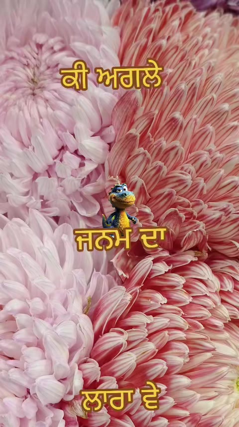 @Malvve da JÃTT