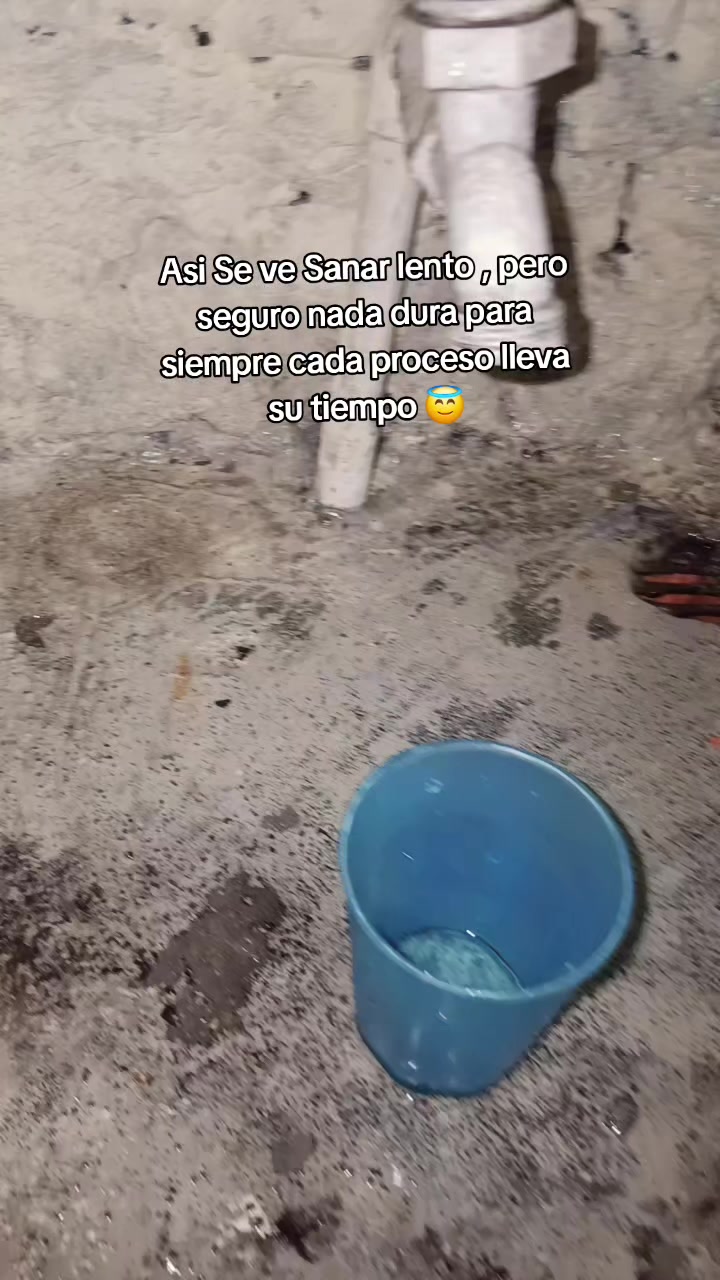 @Nora Sc
