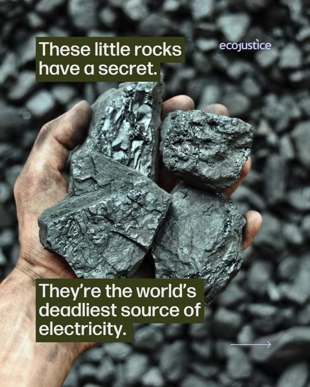 @Ecojustice