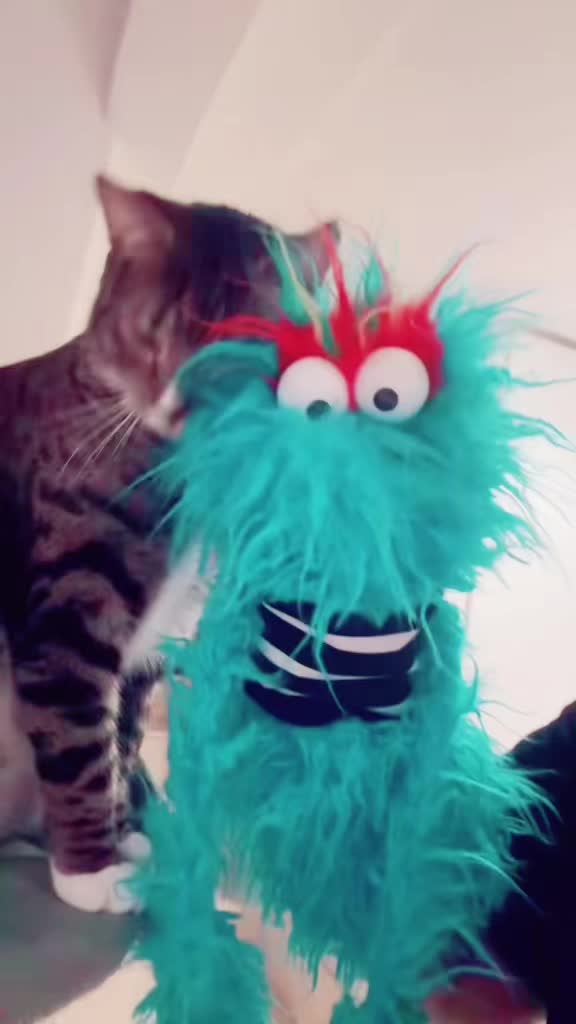 @MUPPETPOOL