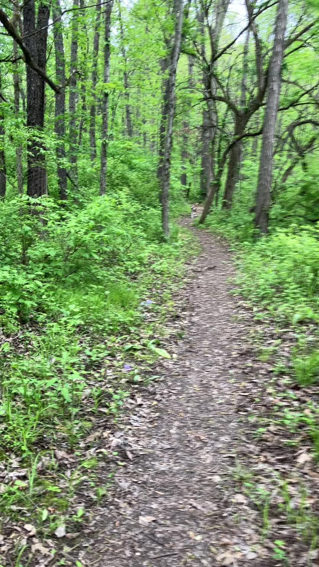 @Hikingwithstanley
