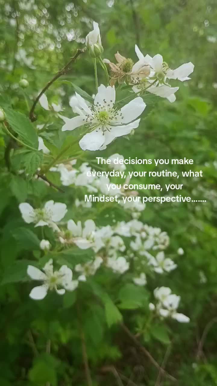 @NaturewithVee✨