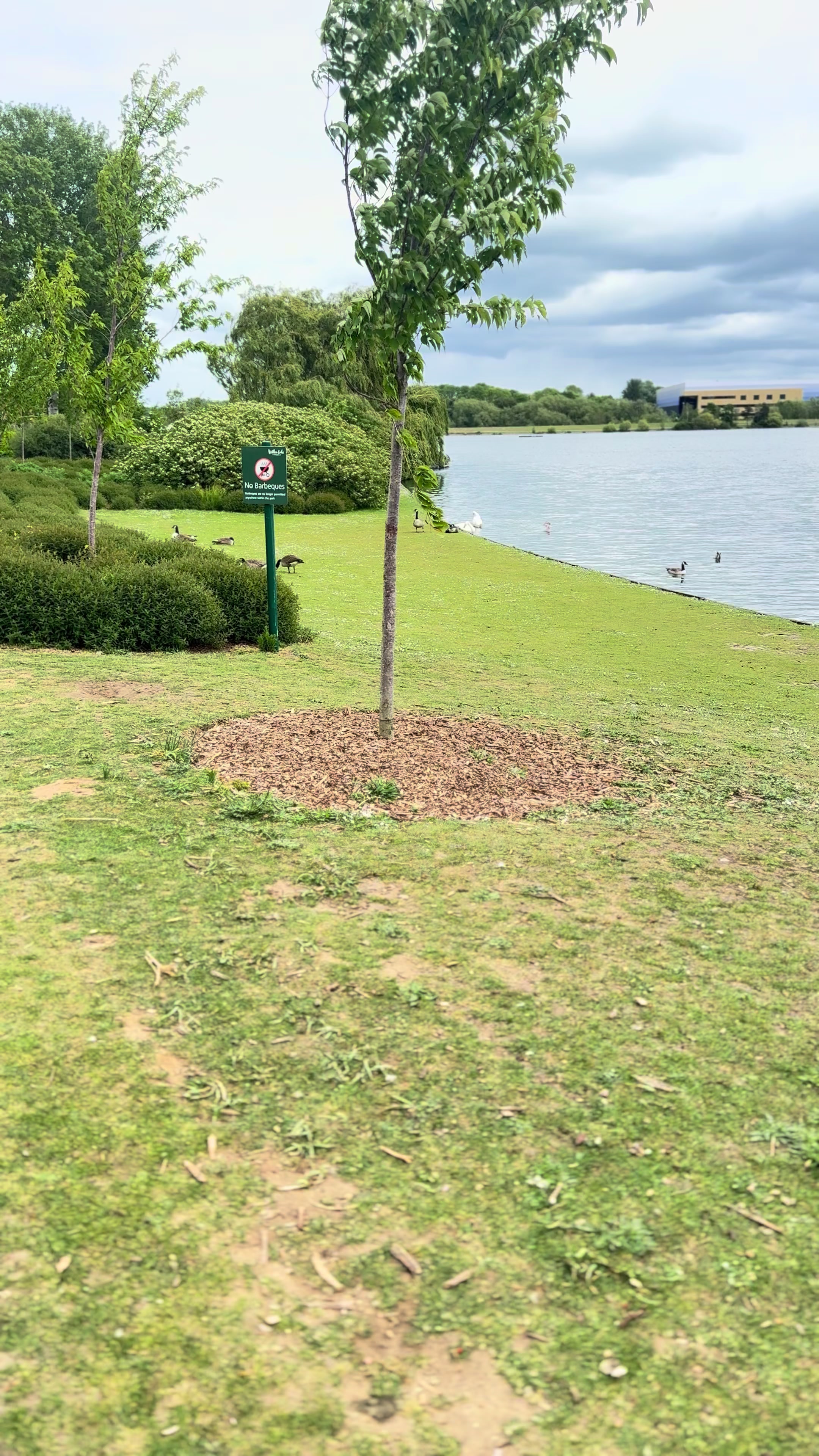 @MAN OF LOVE ❤️ 🇬🇧