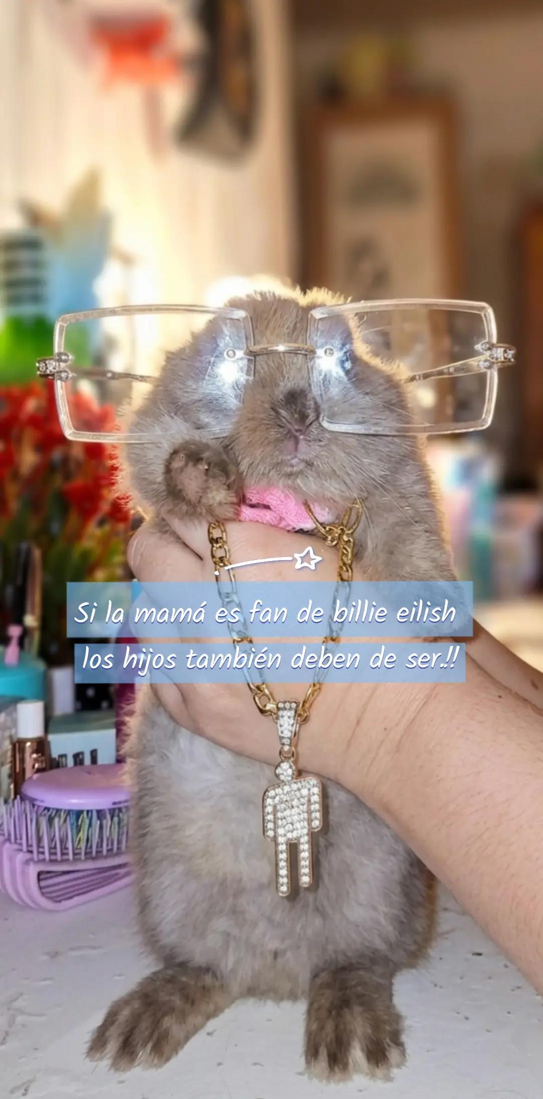 @Adriana Eilish O'connell