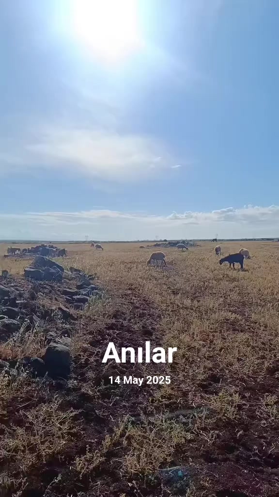 @Erdem akyavuz 2