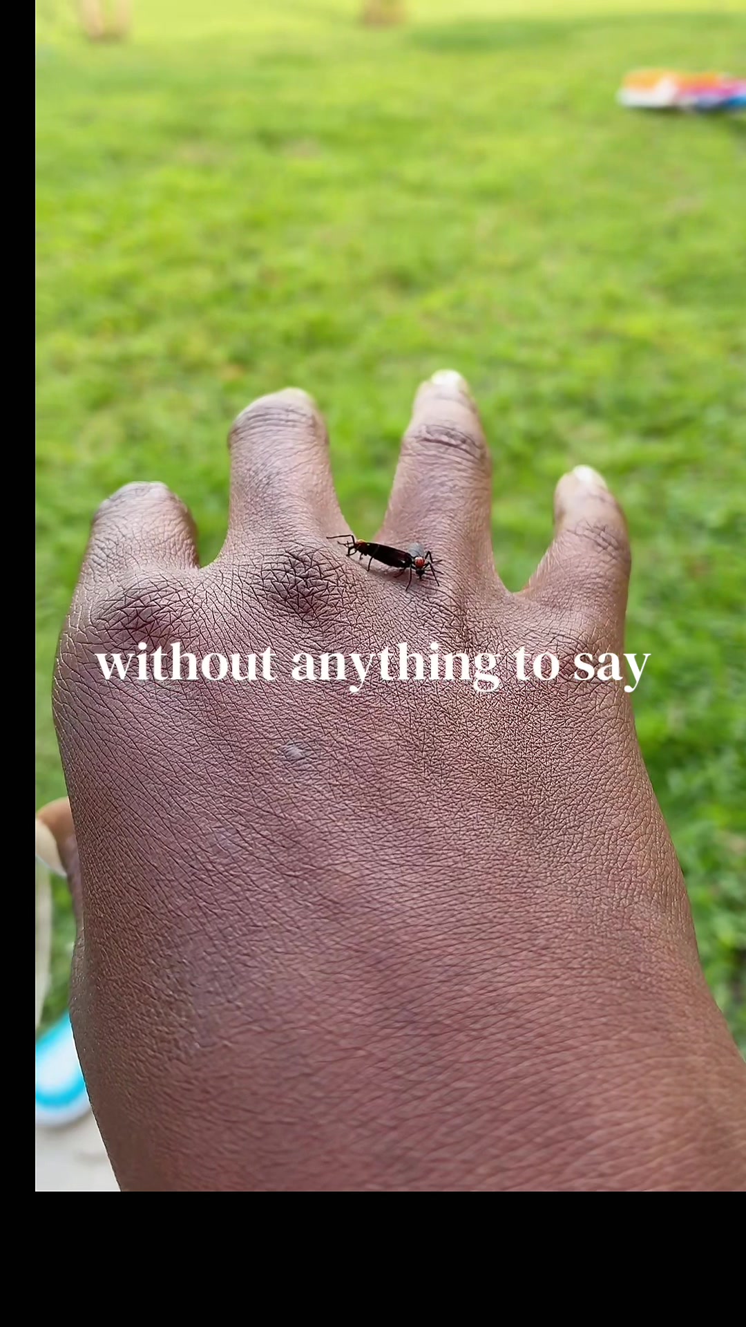@🤍 𝒞ℒ𝒜ℛ𝒜