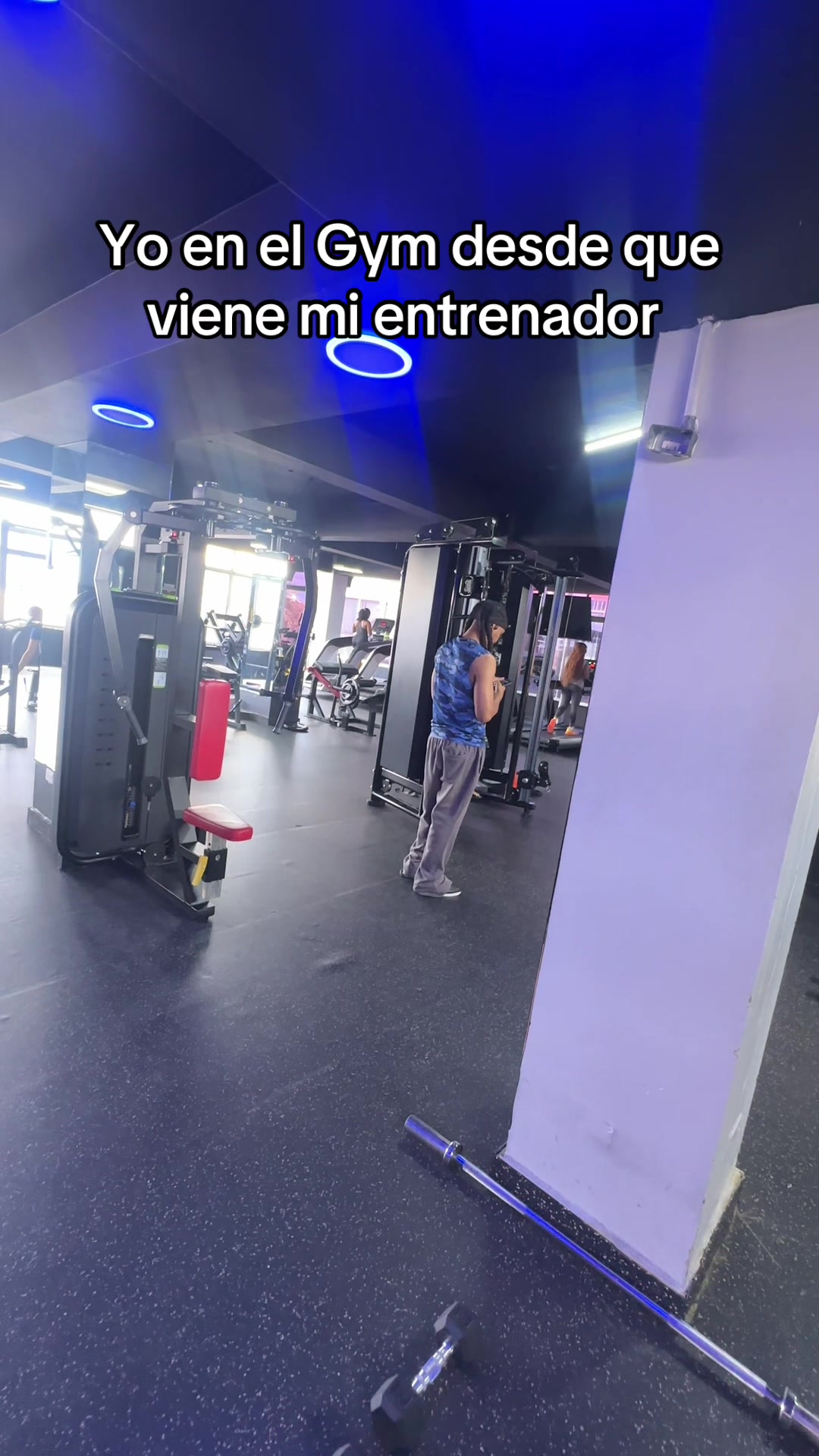 @Dark Angel