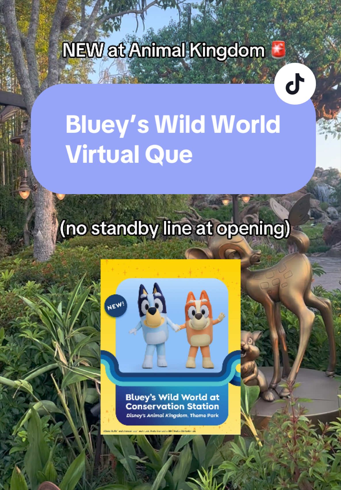 @Mackenzie|Travel Agent|Disney
