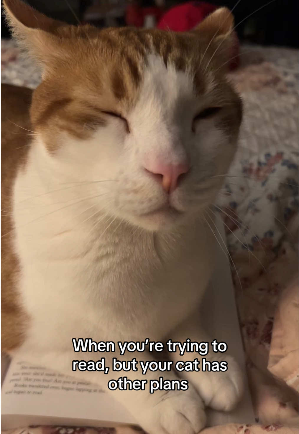 @ElderrrEmo🌝