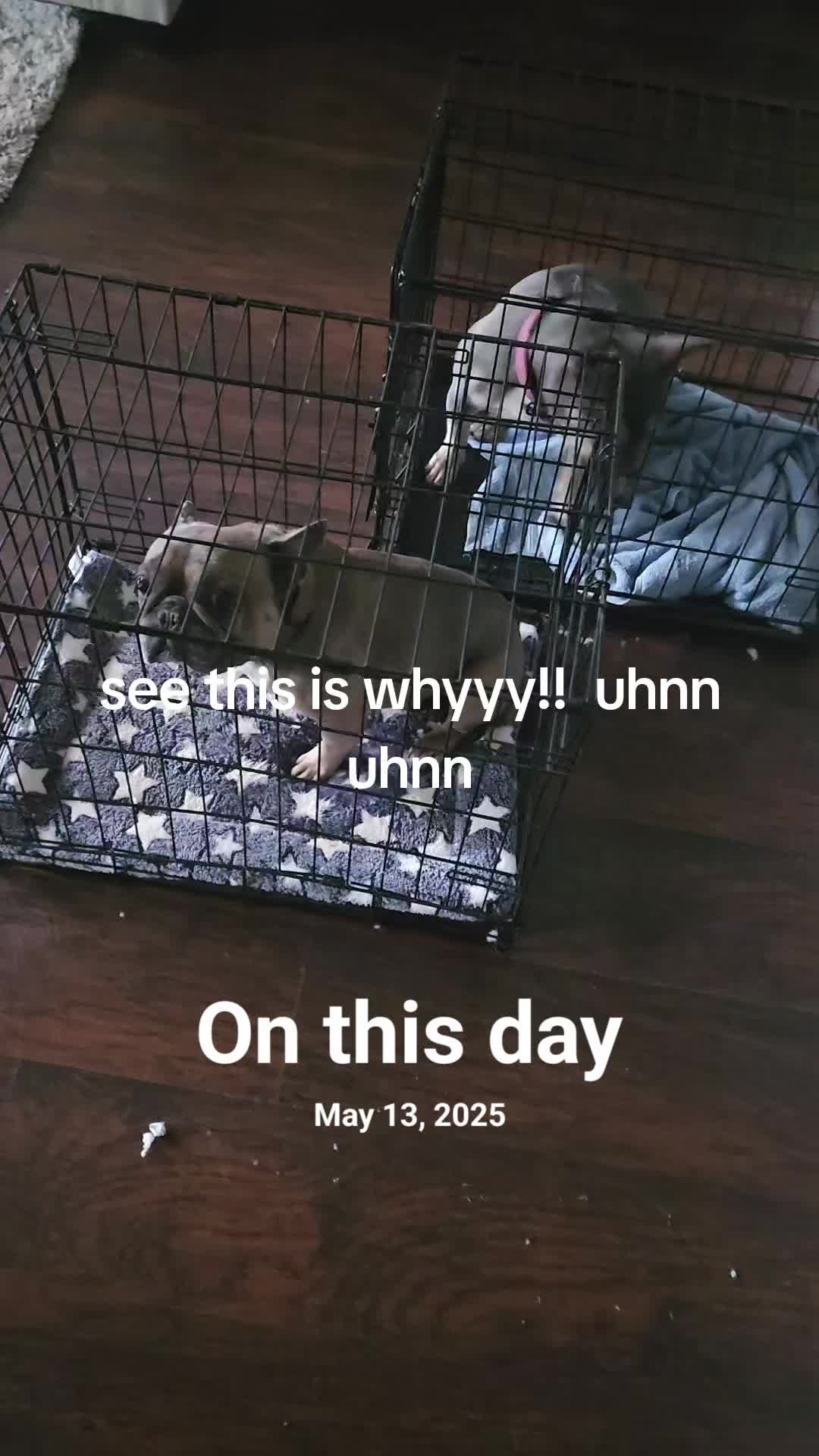 @Kdubbz19
