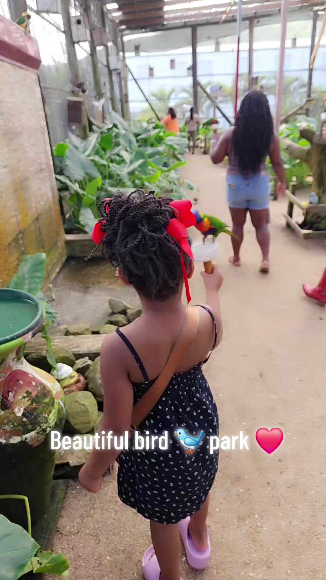 @sweetface
