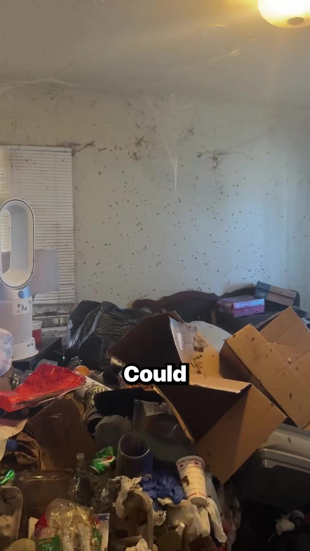 @Biggie Clean