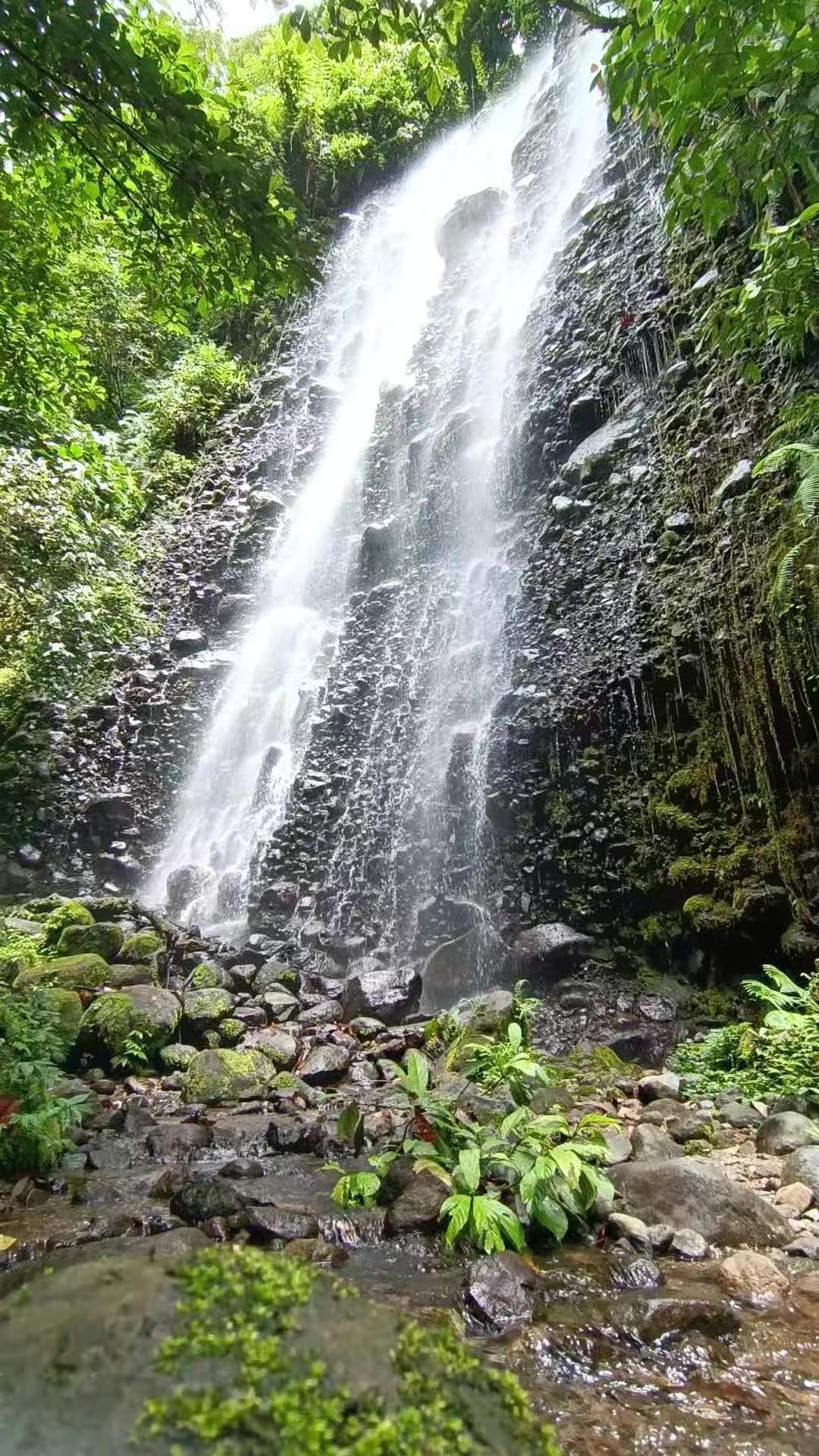 @Arif Wahyudi