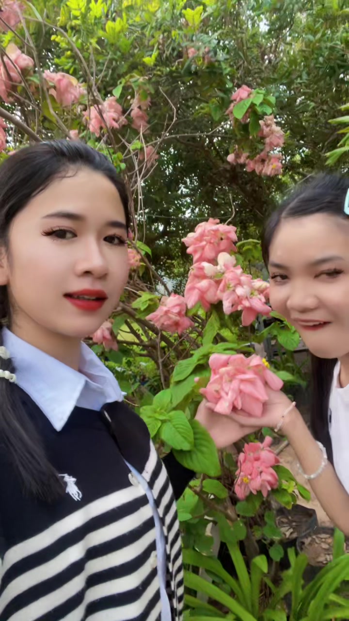 @Yu Mei